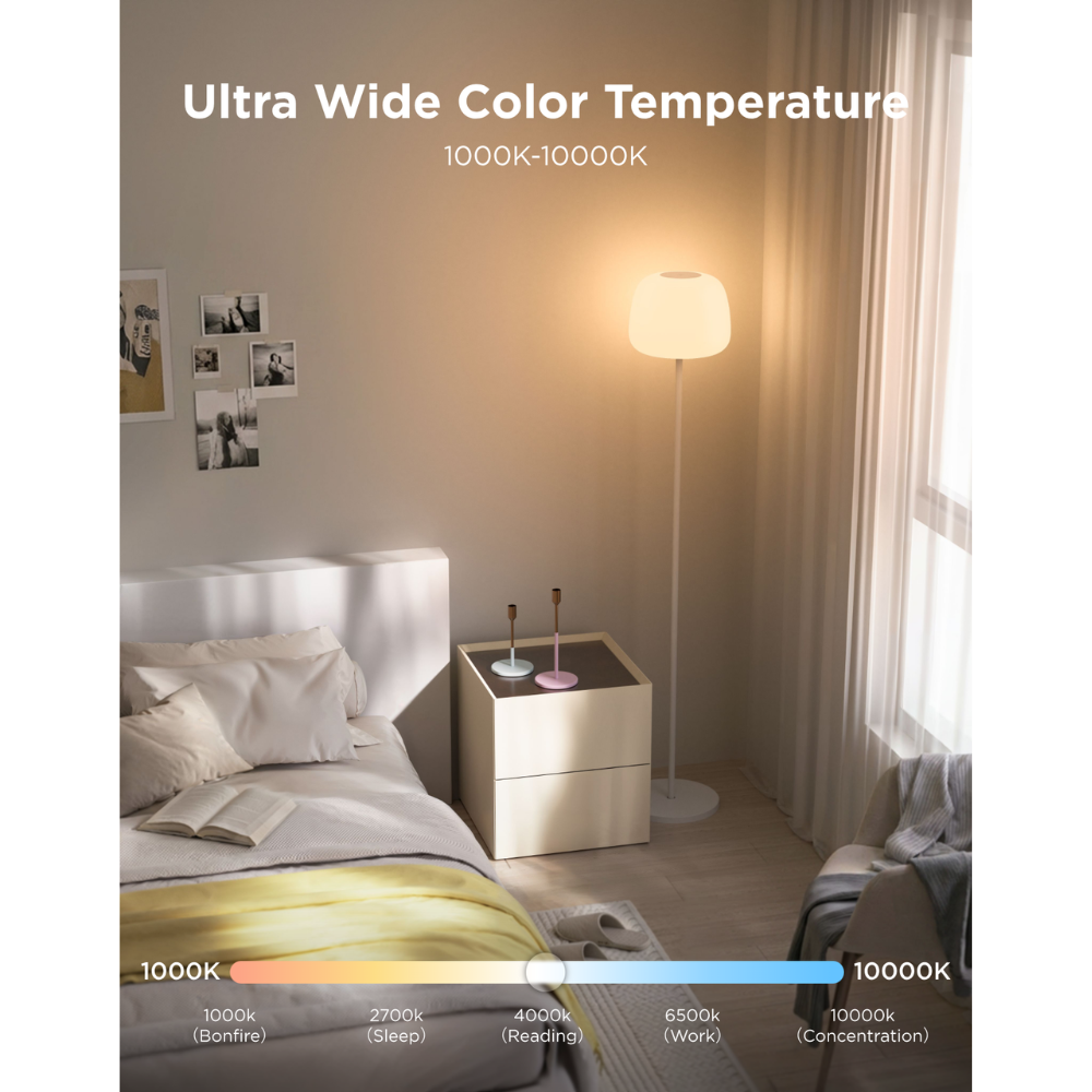 Govee Lantern Floor Lamp S