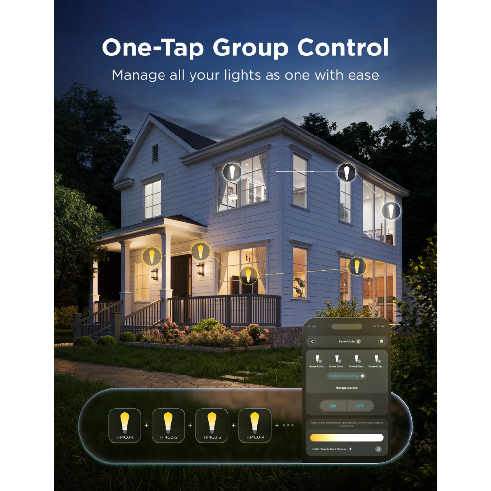 Govee Edison Bulb ST19 E27 (2-pack)