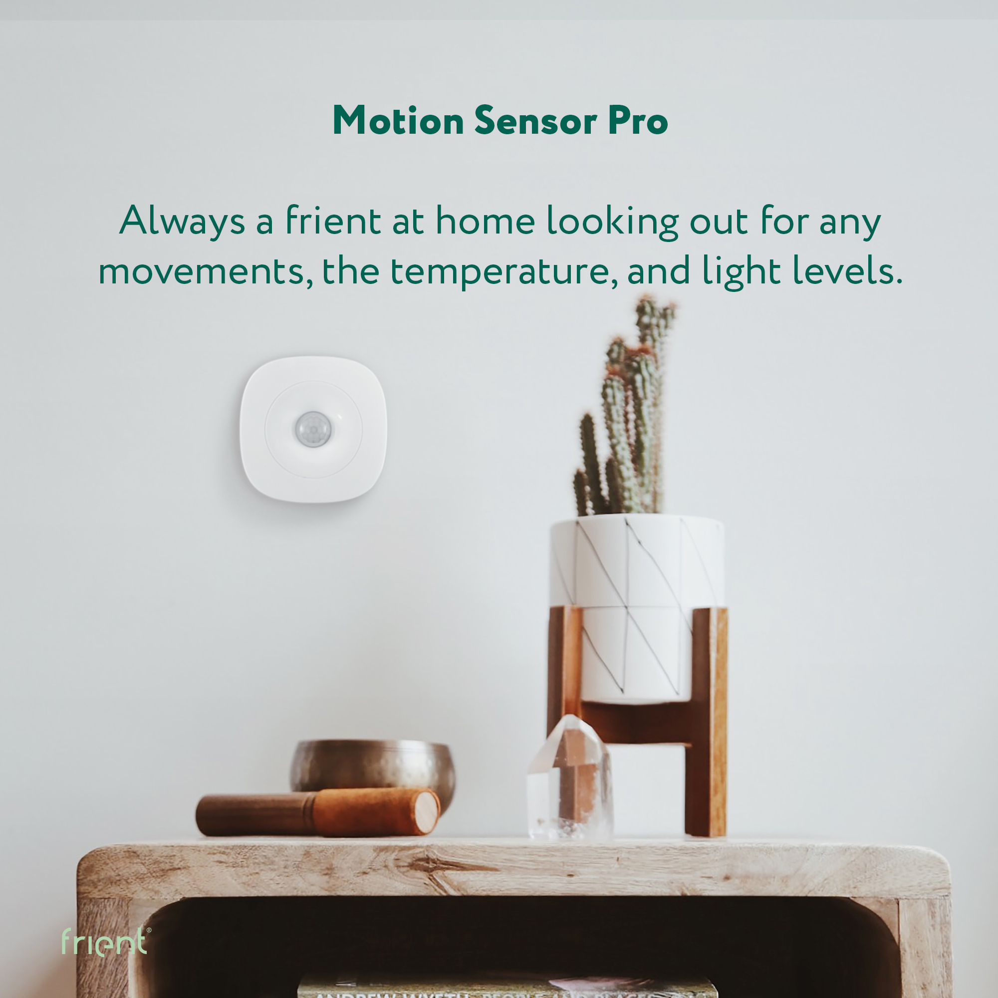 frient Motion Sensor Pro