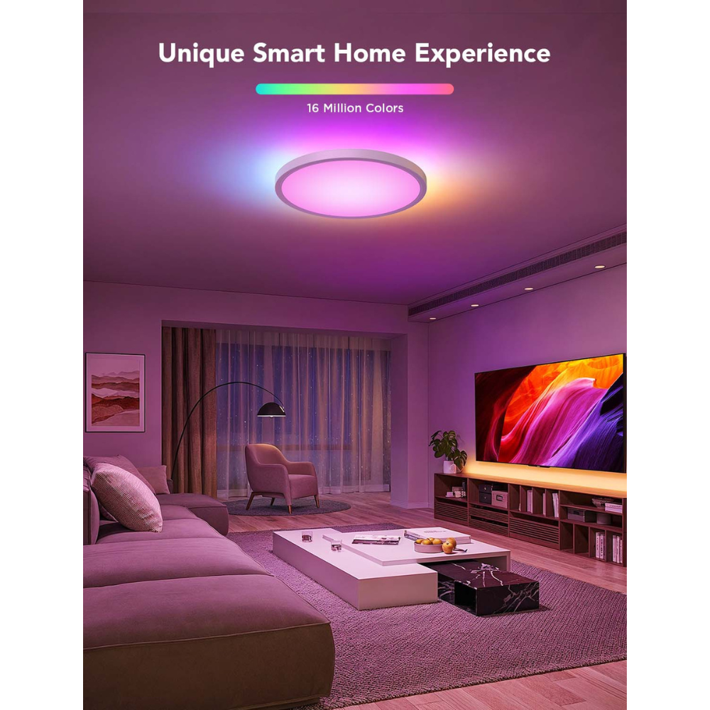 Govee Ceiling Light (12 inch)