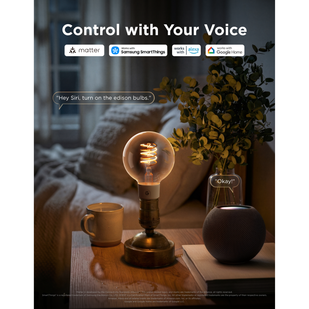 Govee Edison Bulb G80 E27 (2-pack)