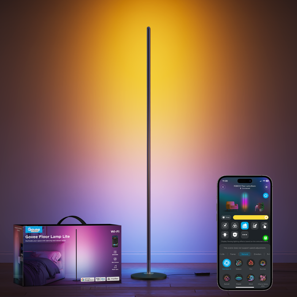 Govee Floor Lamp lite
