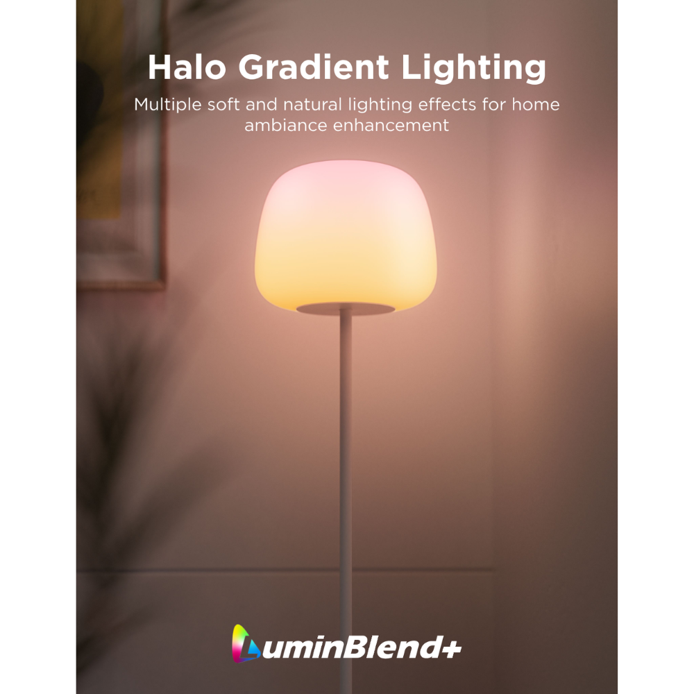 Govee Lantern Floor Lamp S