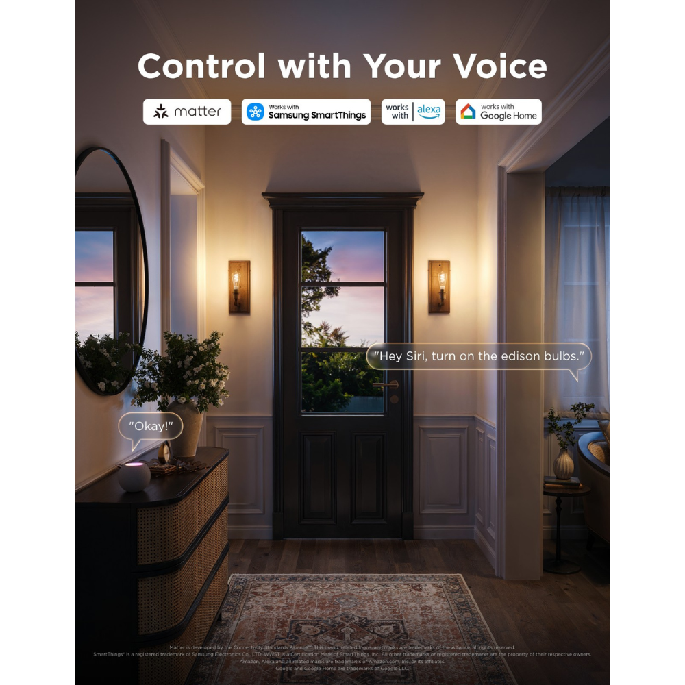 Govee Edison Bulb ST19 E27 (2-pack)