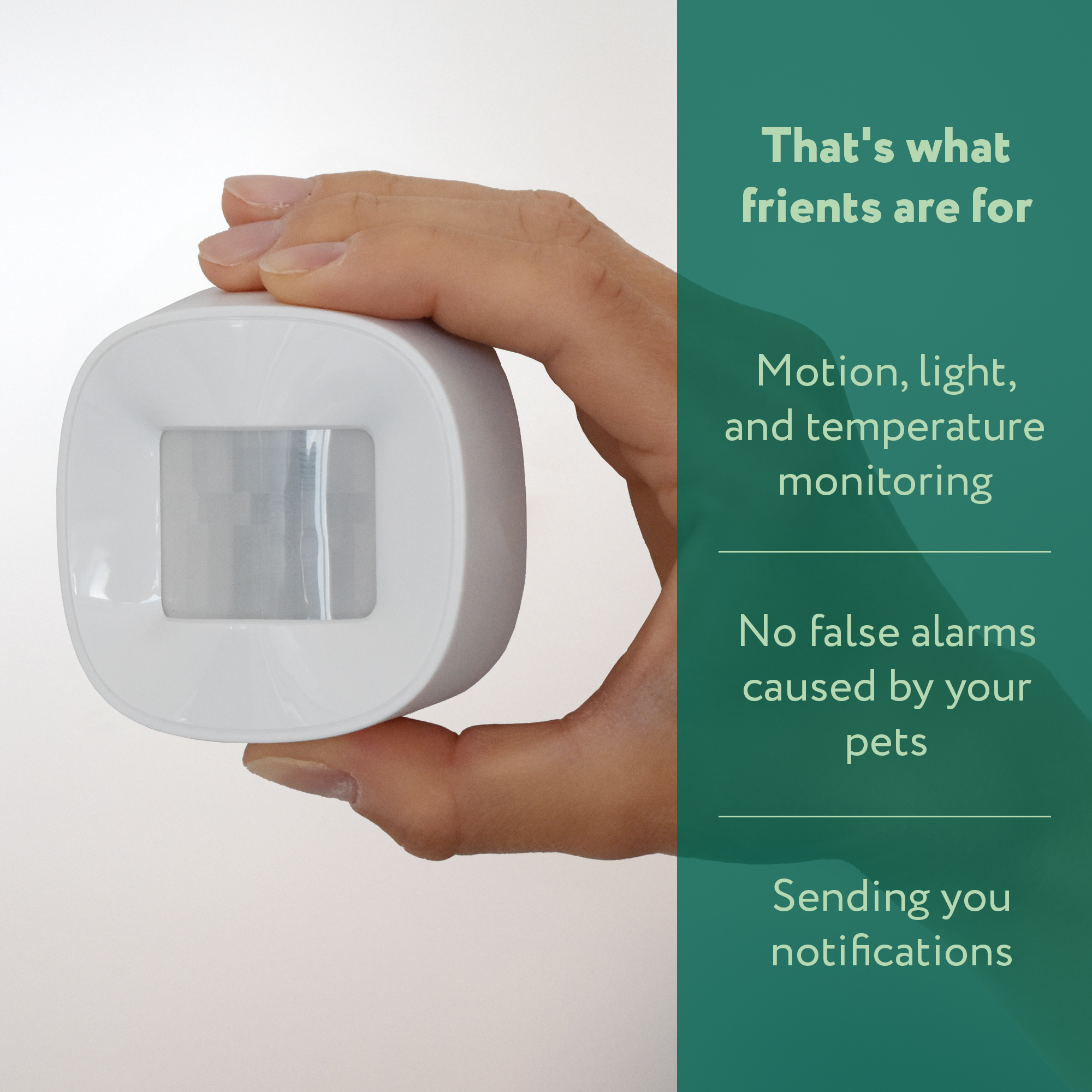 frient Motion Sensor 2 PET