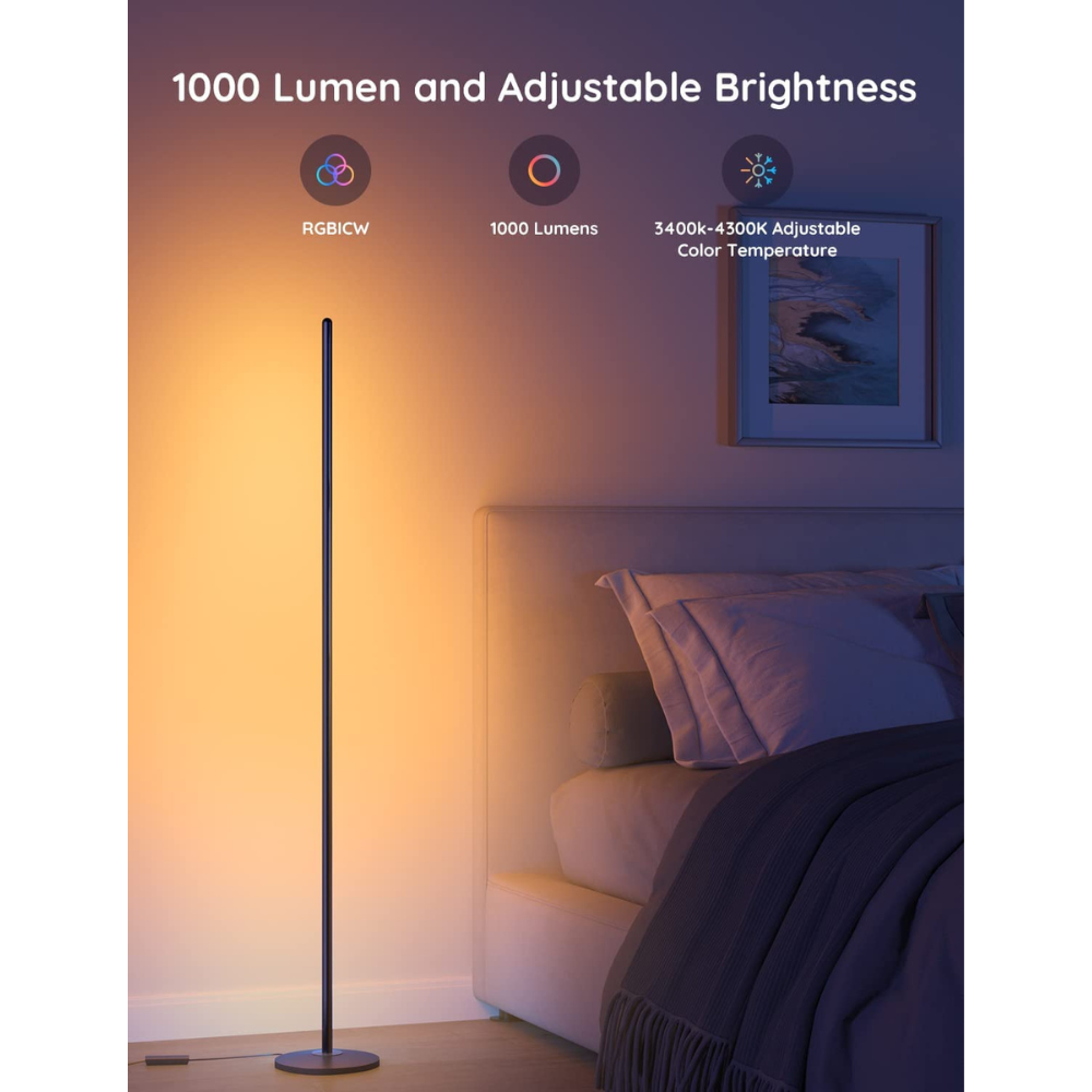 Govee Floor Lamp lite