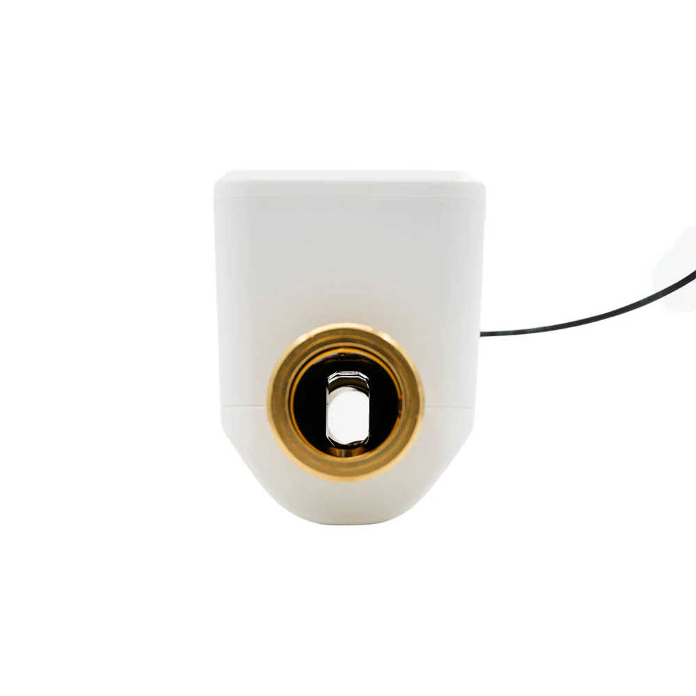 Neo Smart Water Valve NAS-WV02W (Powered by Shelly)