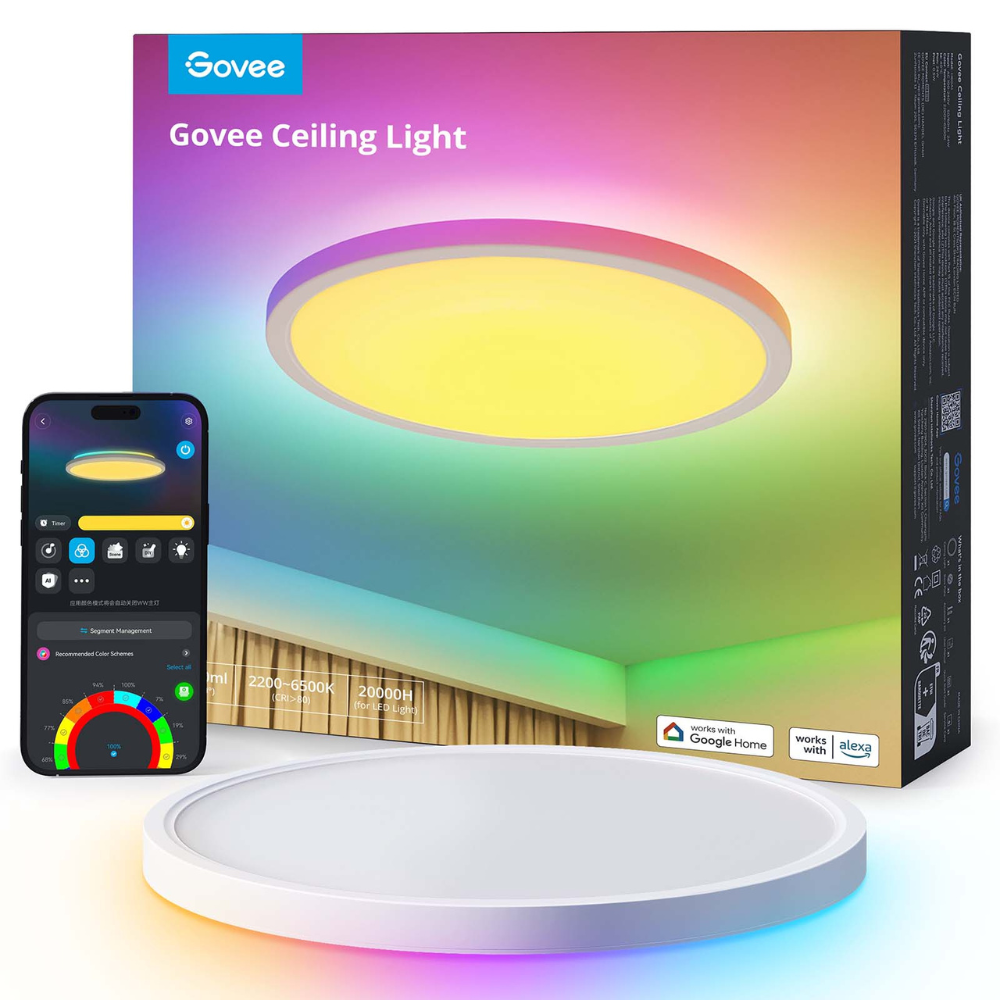 Govee Ceiling Light (12 inch)