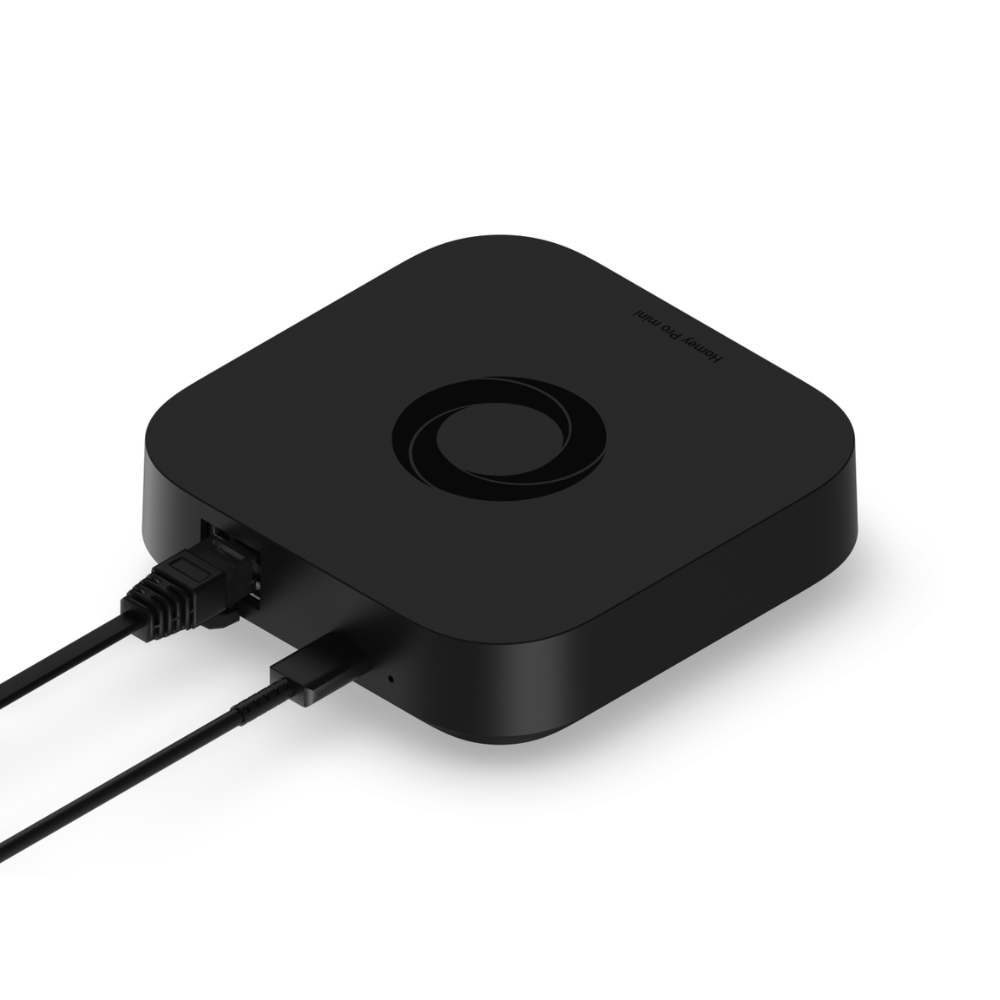 Athom Homey Pro mini