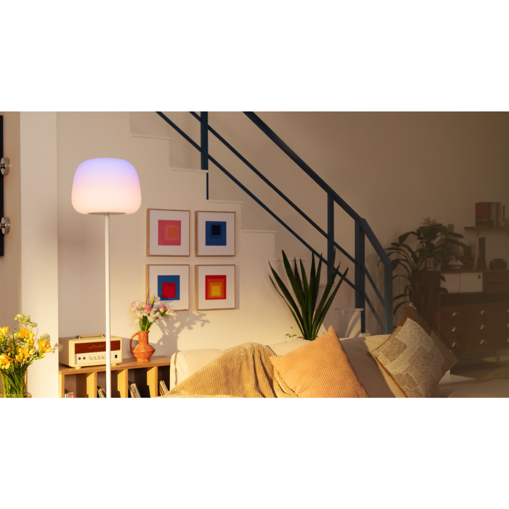 Govee Lantern Floor Lamp S