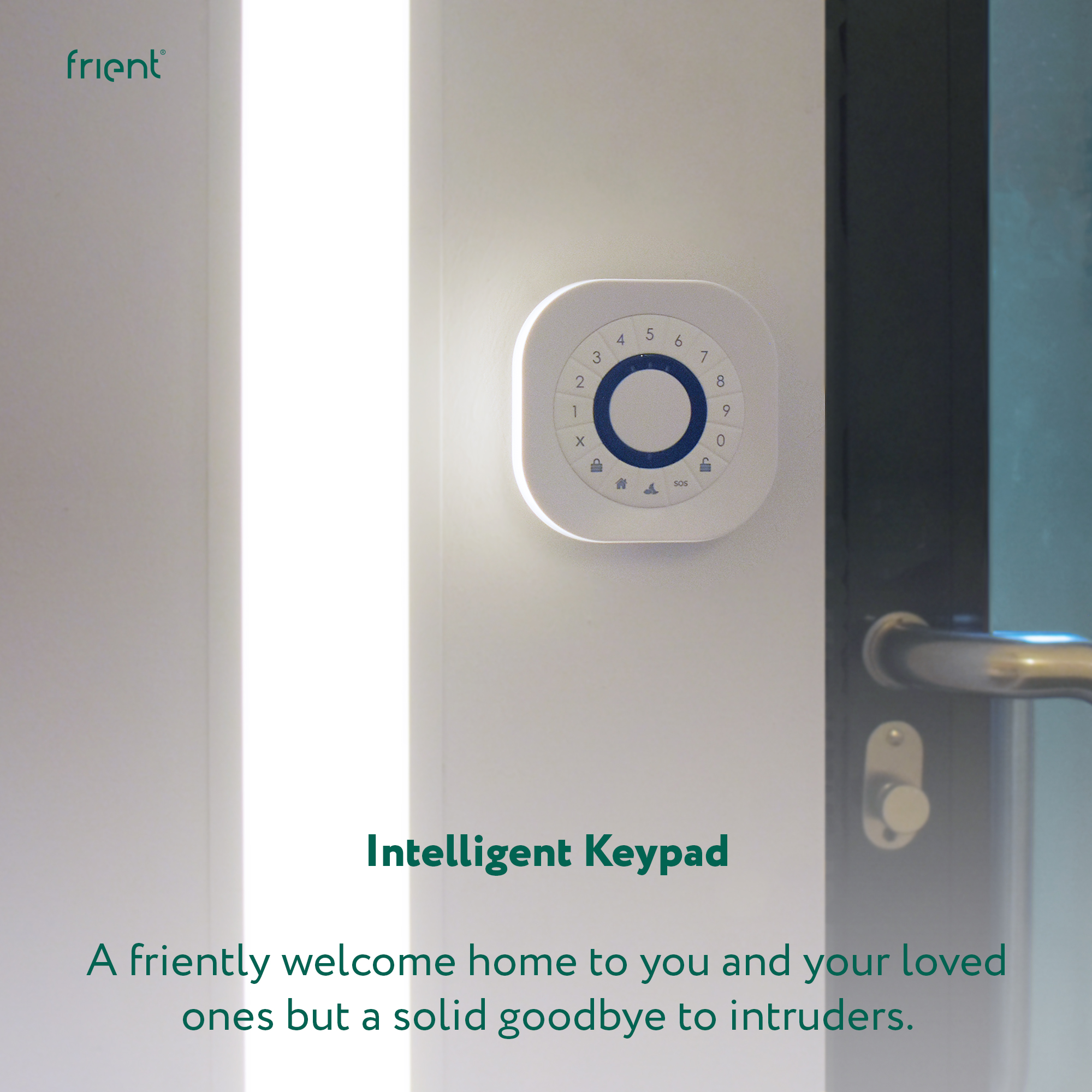  frient Intelligent Keypad